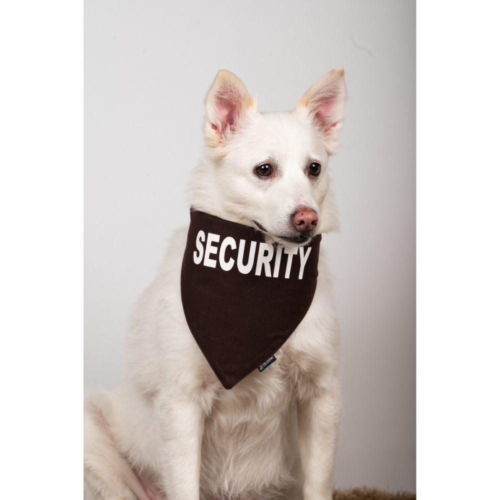Petsnugs Security Bandana for Dogs and Cats (Coffee Brown) image 5