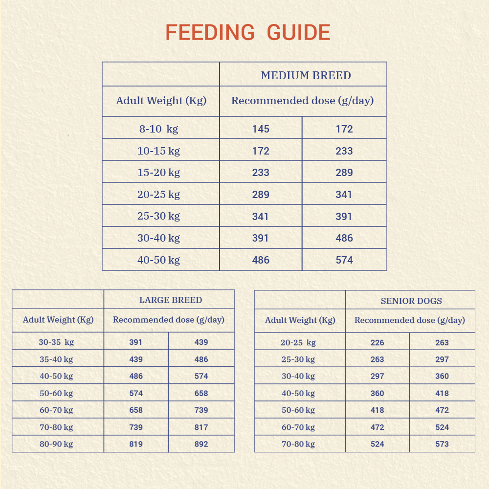 Bruno's Wild Essentials Adult Lamb Recipe Dog Dry Food image 6
