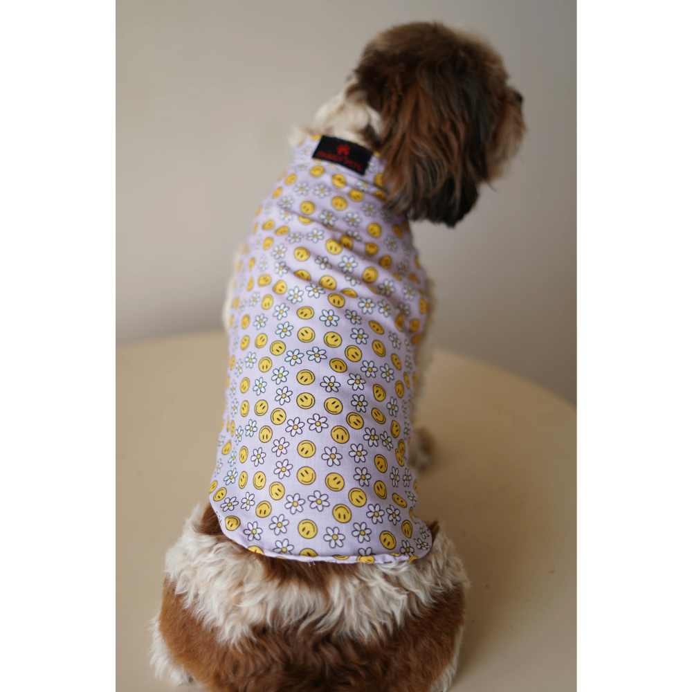 Pawgypets Smiley o clock sando for Dogs (Lavender) image 3