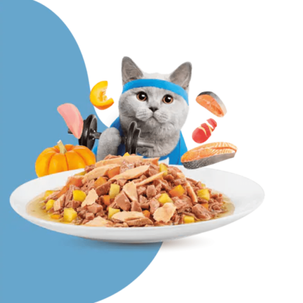 Moochie Salmon Grain Free Weight Control Cat Wet Food image 4
