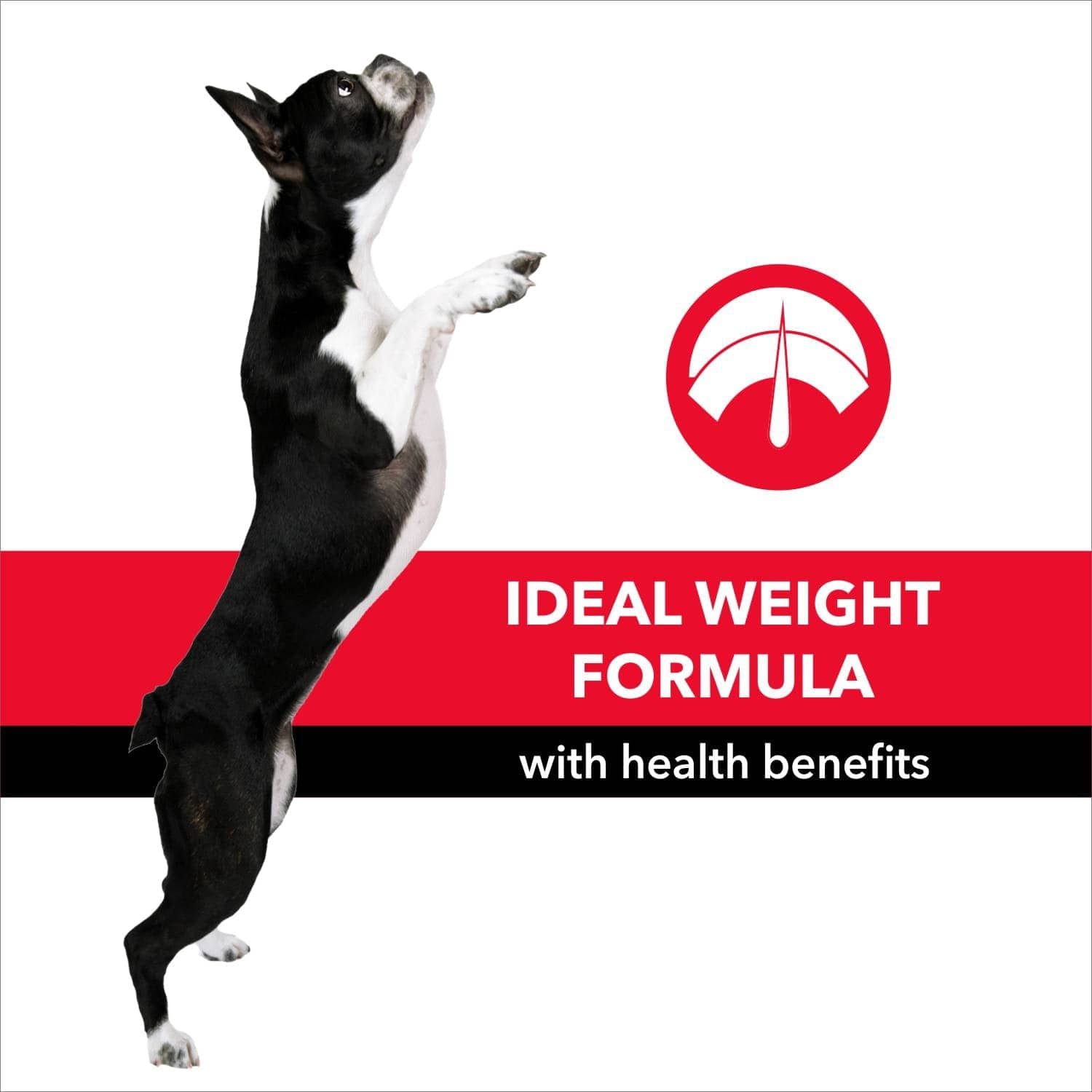 Purepet Meat and Rice Adult Dog Dry Food image 5