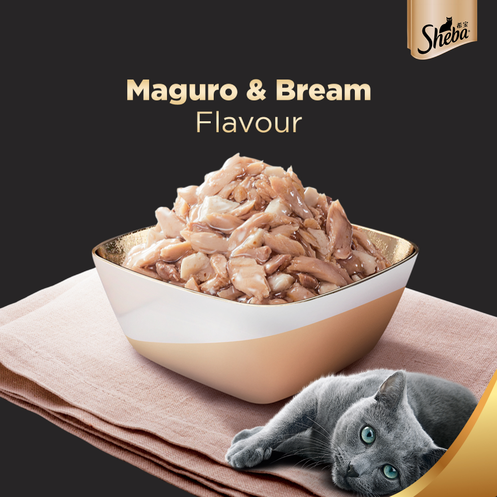 Sheba Skipjack & Salmon Fish, Maguro & Bream and Fish with Sasami Flake Premium Cat Wet Food Combo image 3