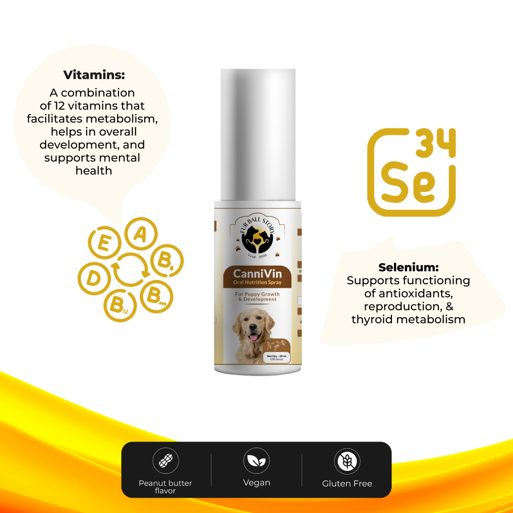 FurBall Story Cannivin Healthy Bones & Teeth Oral Nutritional Spray for Dogs image 4