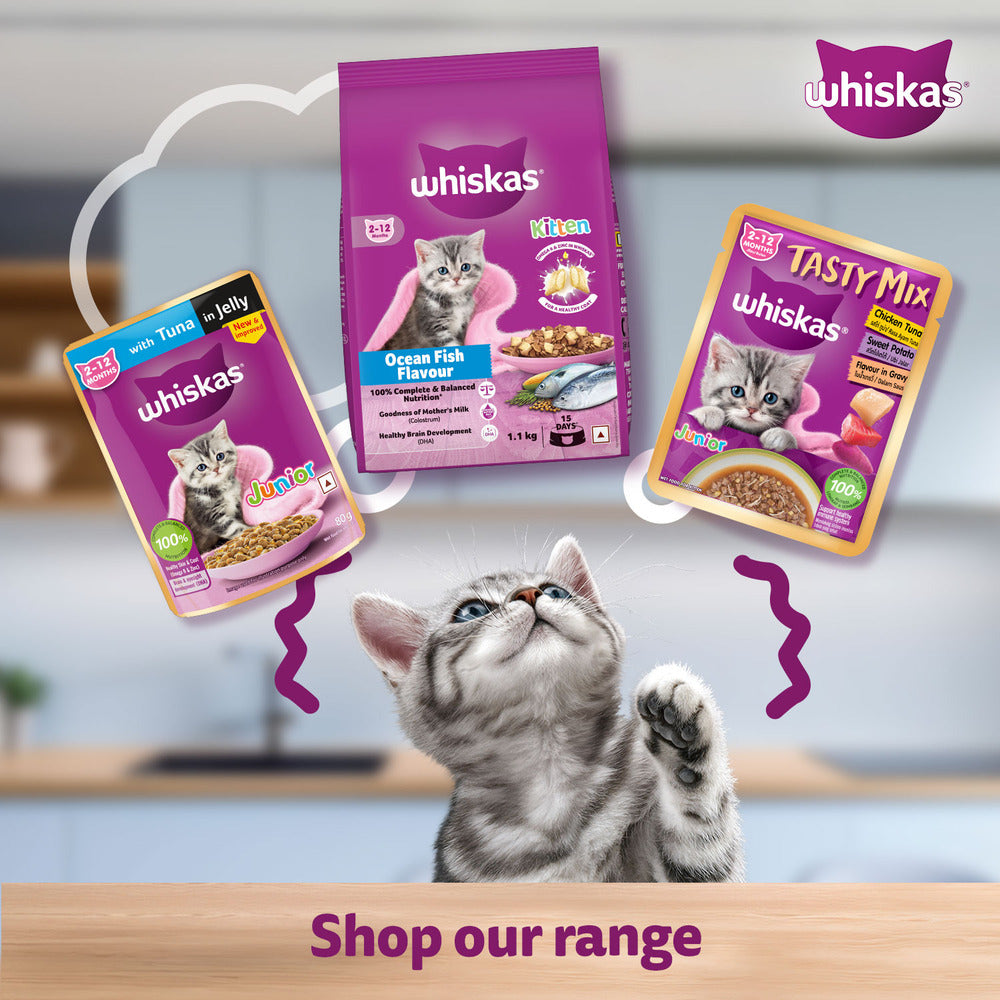 Whiskas Chicken in Gravy Meal Kitten Wet Food image 10