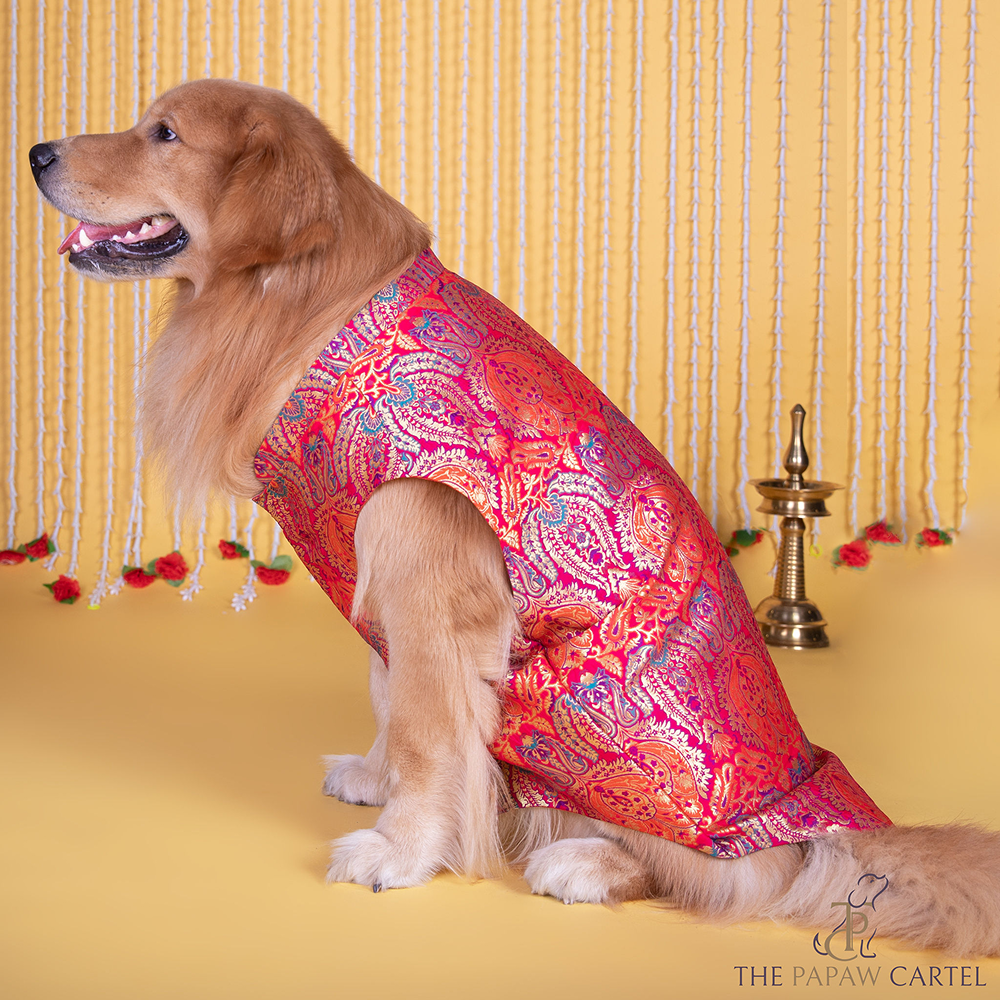 The Papaw Cartel Banarasi Brocade Sleeveless Sherwani with Pocket Square for Dogs & Cats