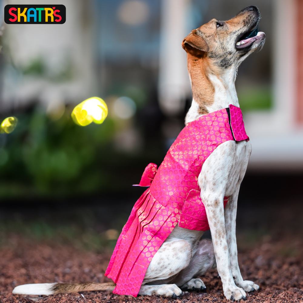 Skatrs Brocade Gold Printed Dress for Dogs and Cats (Pink) image 6