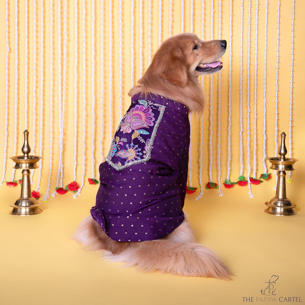 The Papaw Cartel  Indian Motif Embroidered Kurta for Dogs & Cats (Purple Paisley) image 1