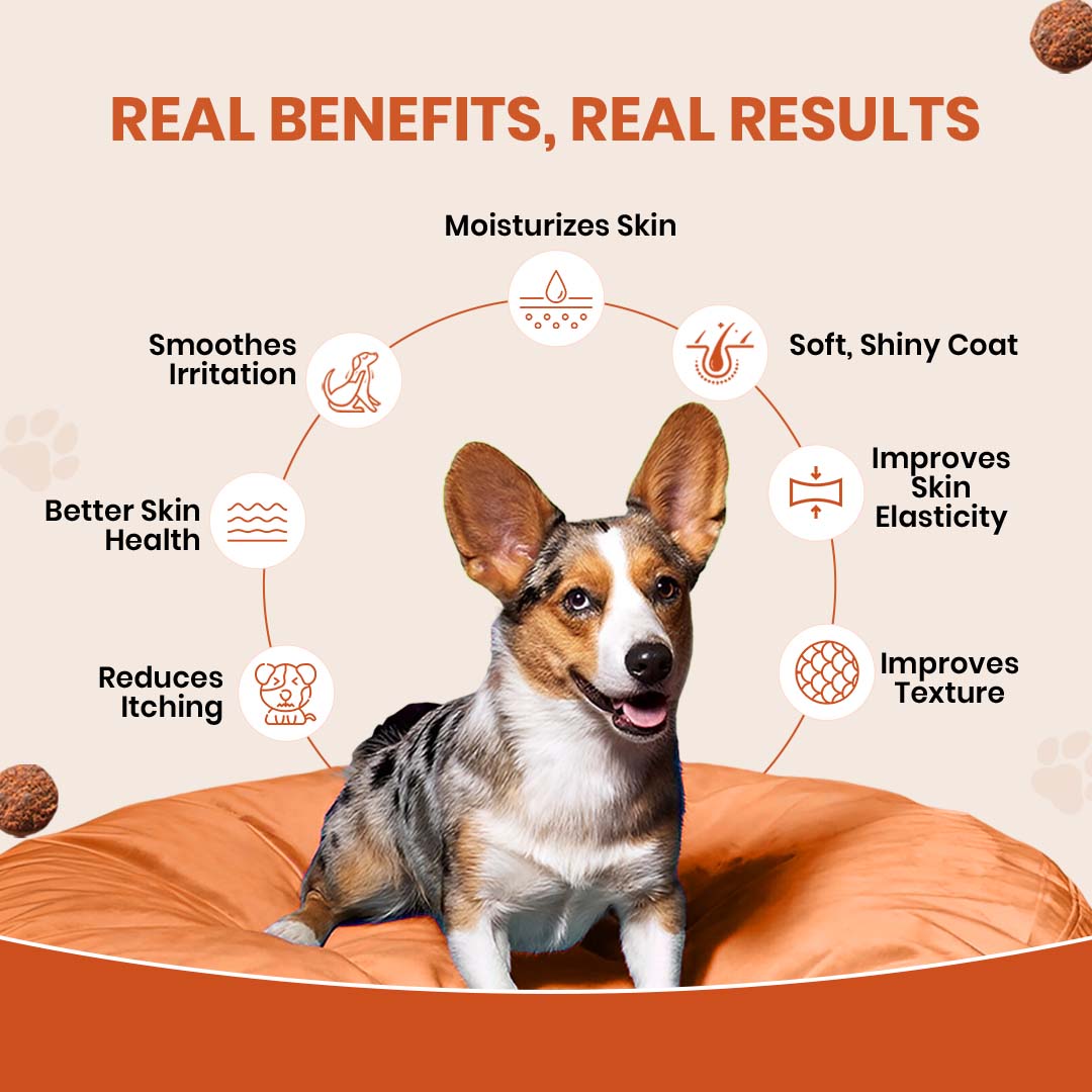 TailsAlive Skin & Coat Soft Chews Supplement for Dogs image 4