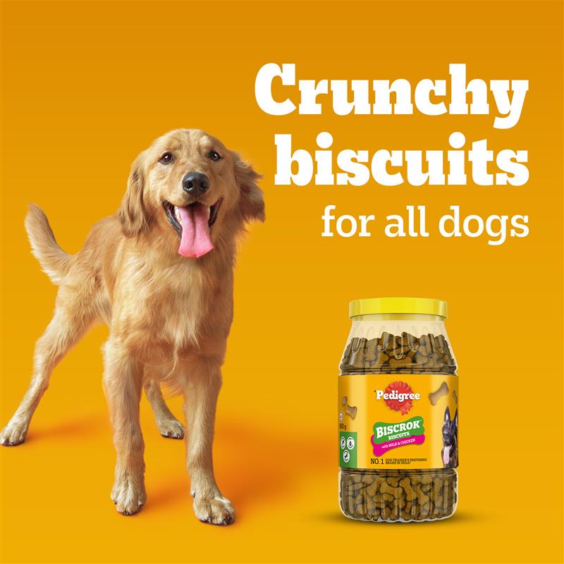 Pedigree Chicken with Milk Flavour (4+ Months) Biscrok Biscuits Jar Treats for Dogs image 7