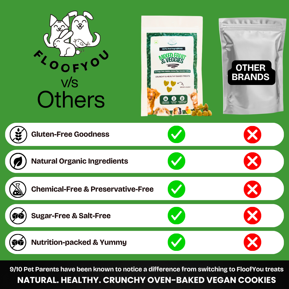 FloofYou Oven Baked Mixed Fruit & Veggies Small Animal Treats image 3