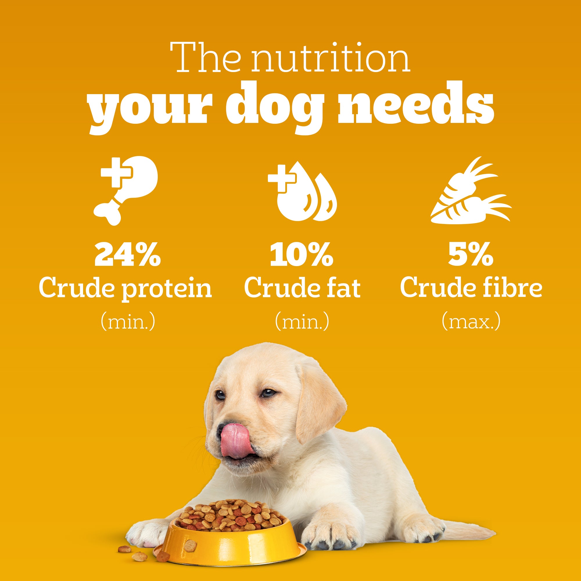 Pedigree Puppy Dog Food Combo |Chicken & Milk Dry & Chicken & Liver Wet image 7