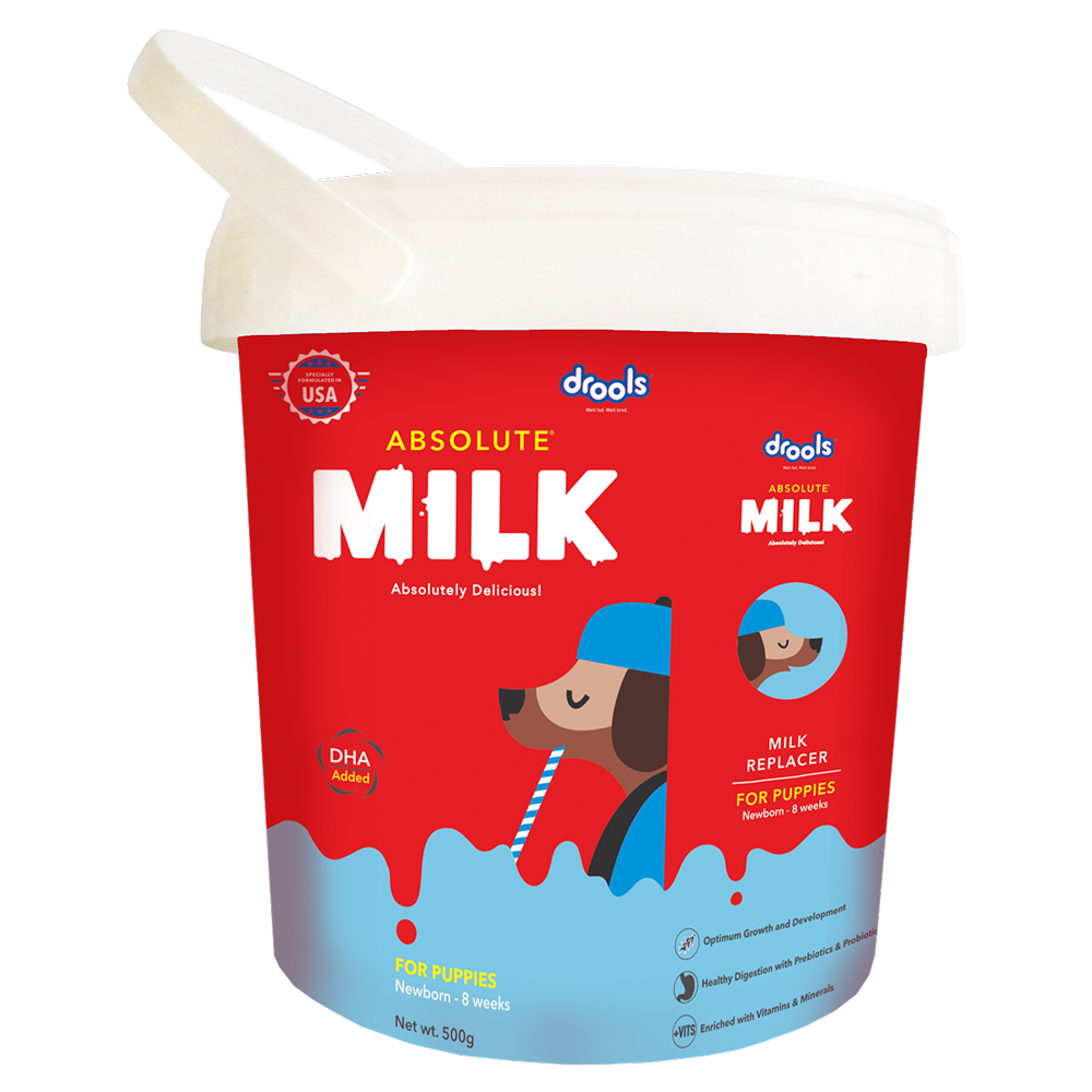 Drools Absolute Milk for Newborn Puppies image 9