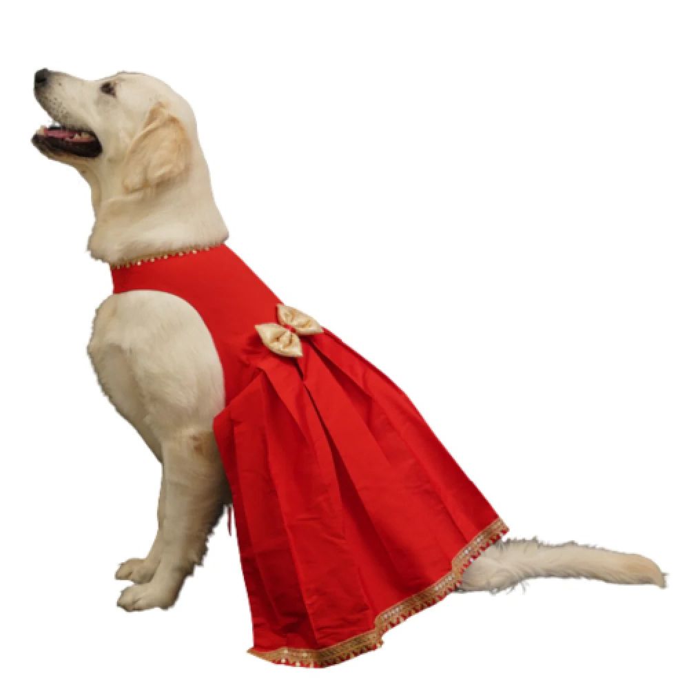 Floof & Co Silk Frock for Dogs (Red & Gold) image 1