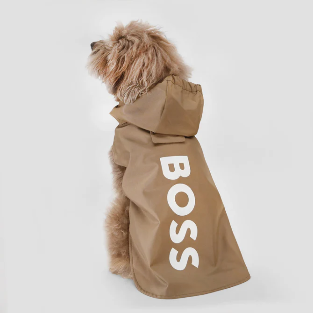 Boss Raincoat for Dogs (Camel) image 5