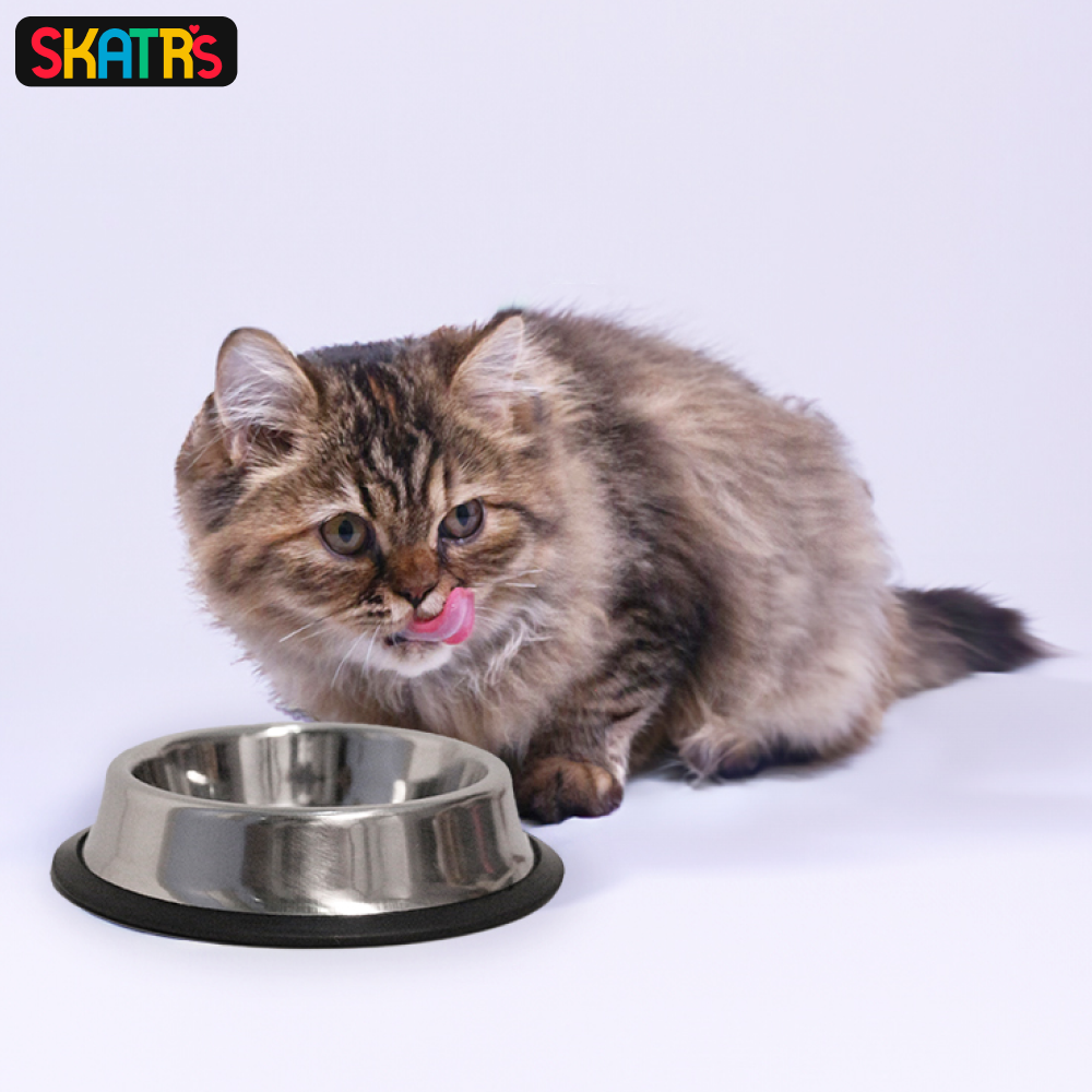 Skatrs Anti Skid Stainless Steel Bowl for Dogs and Cats (700mL) image 7