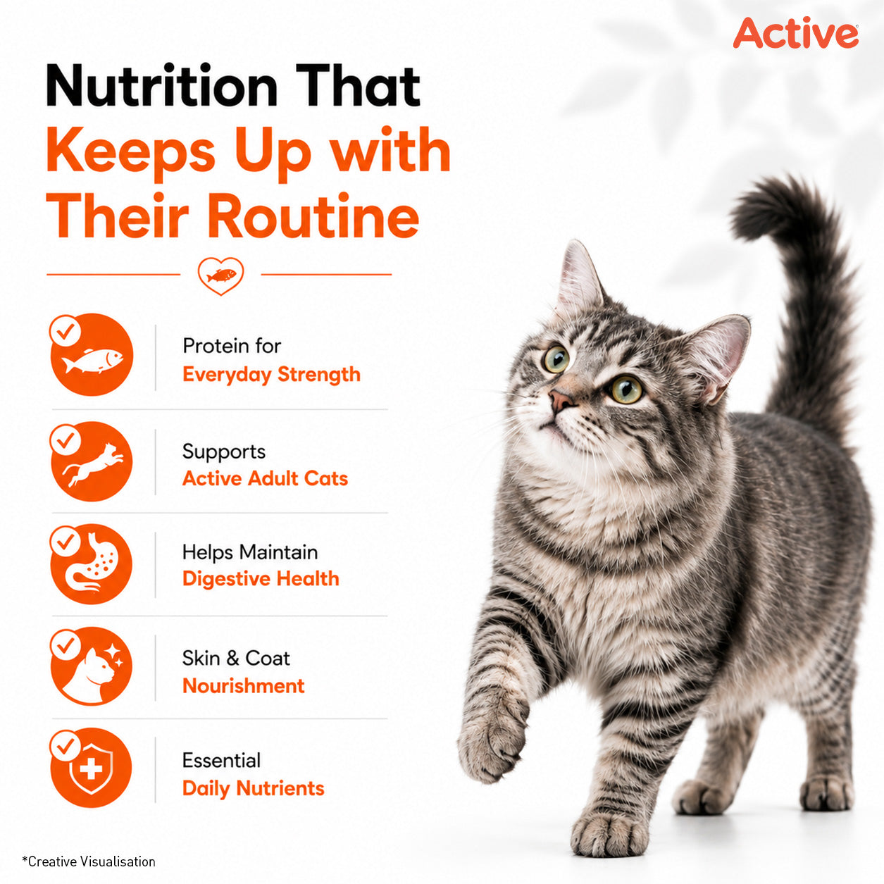 Active Mackerel Adult Cat Dry Food (Buy 1 Get 1) image 4