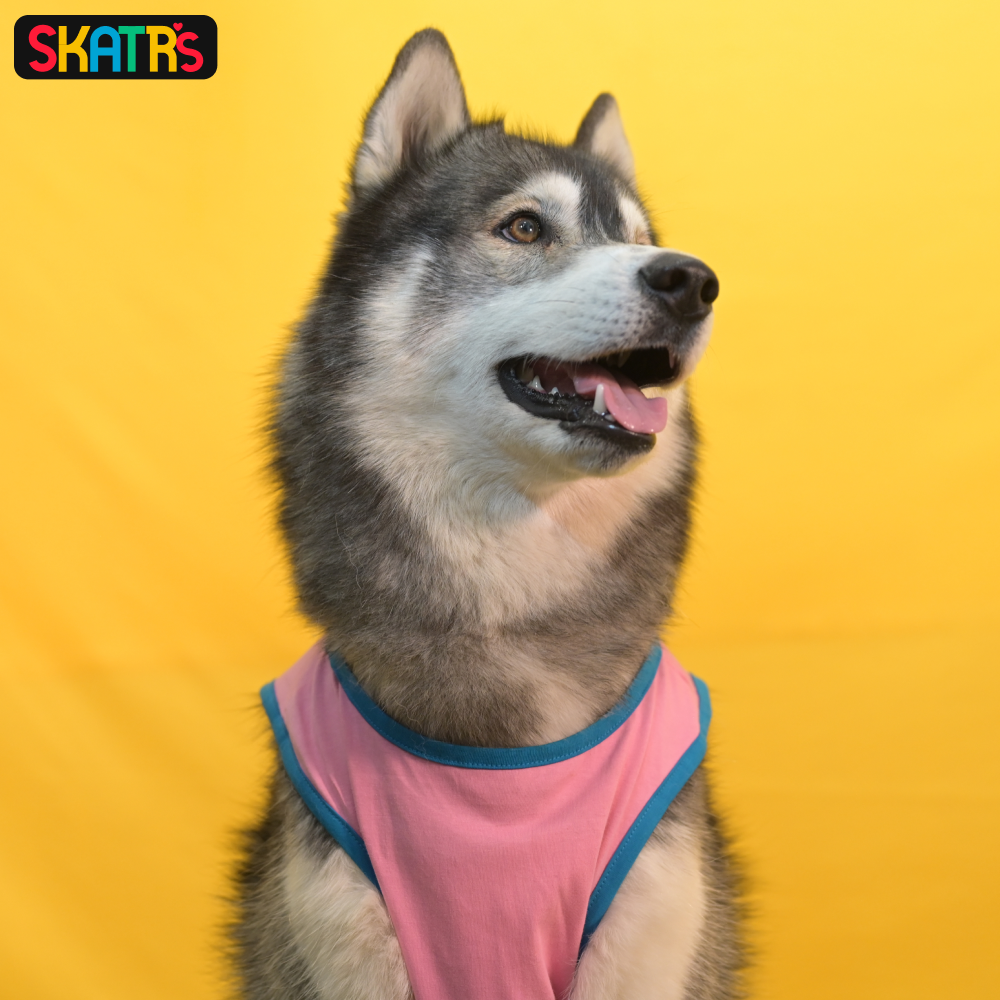 Skatrs Pawsitively Adorable Printed Summer Cotton T Shirt for Dogs and Cats (Pink) image 4