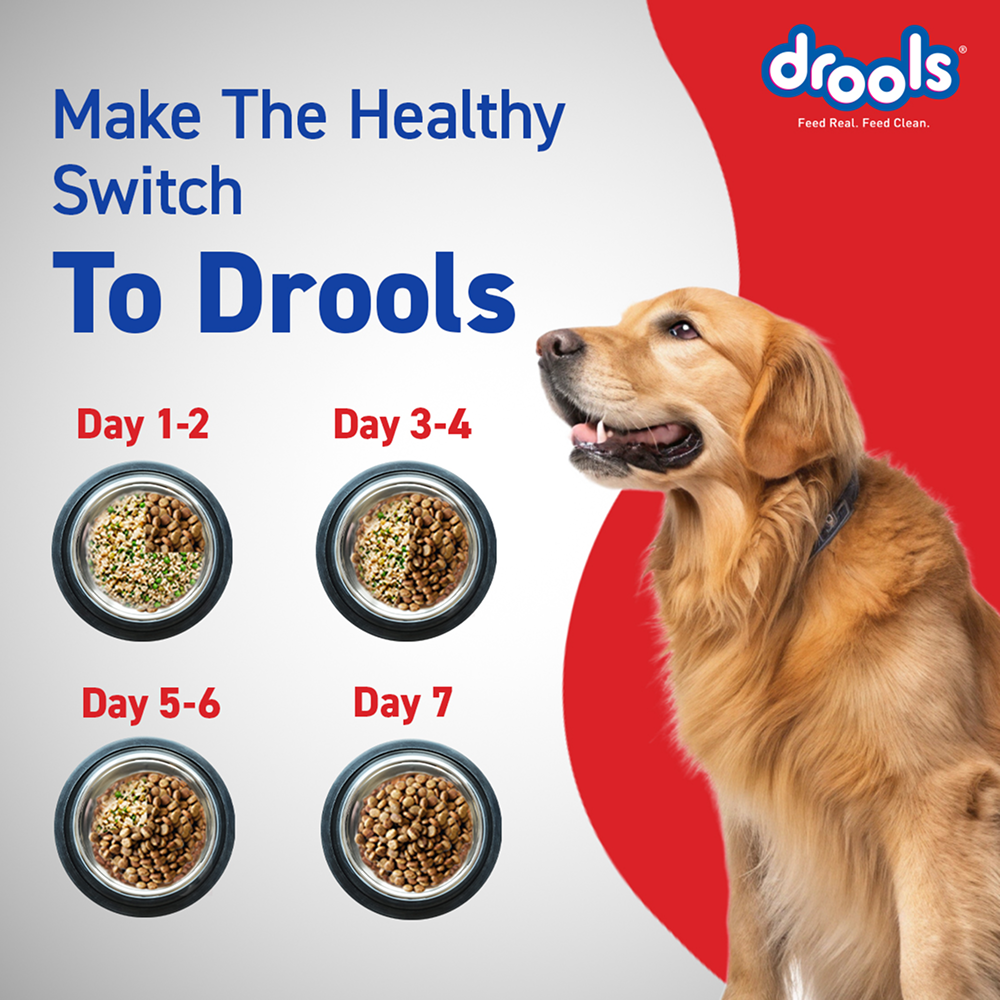 Drools Optimum Performance Adult Dog Dry Food image 10