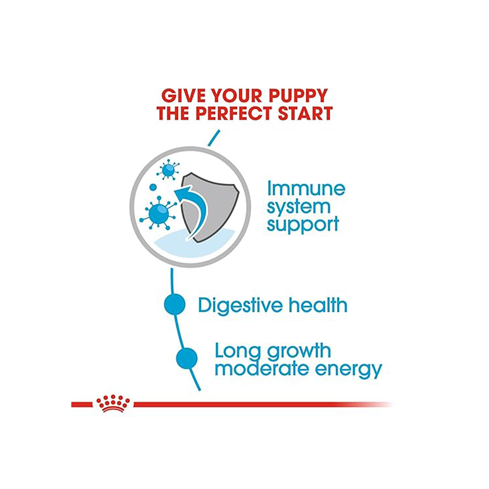 Royal Canin Maxi Puppy Dog Wet Food image 9