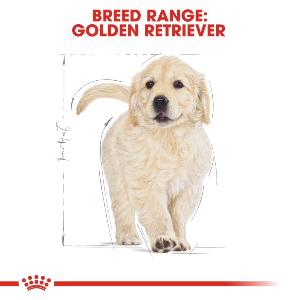 Royal Canin Golden Retriever Puppy Dog Dry Food image 8