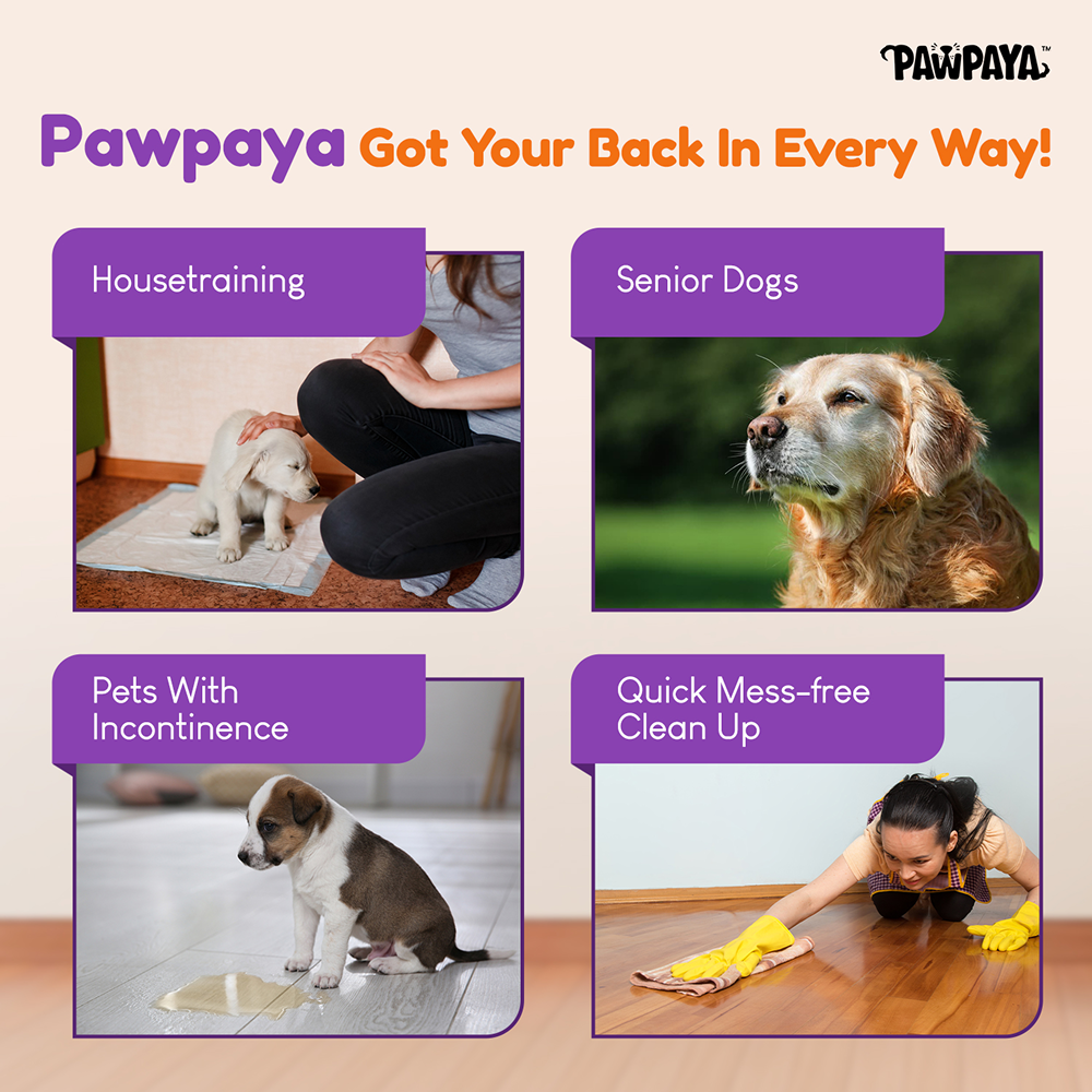 Pawpaya Pee Lock Powder for Dogs and Cats image 2
