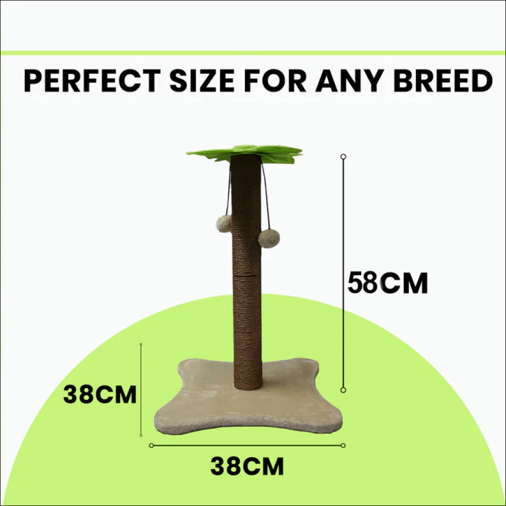 Basil Coconut Tree Toy for Kittens & Cats (Green/Brown) image 4