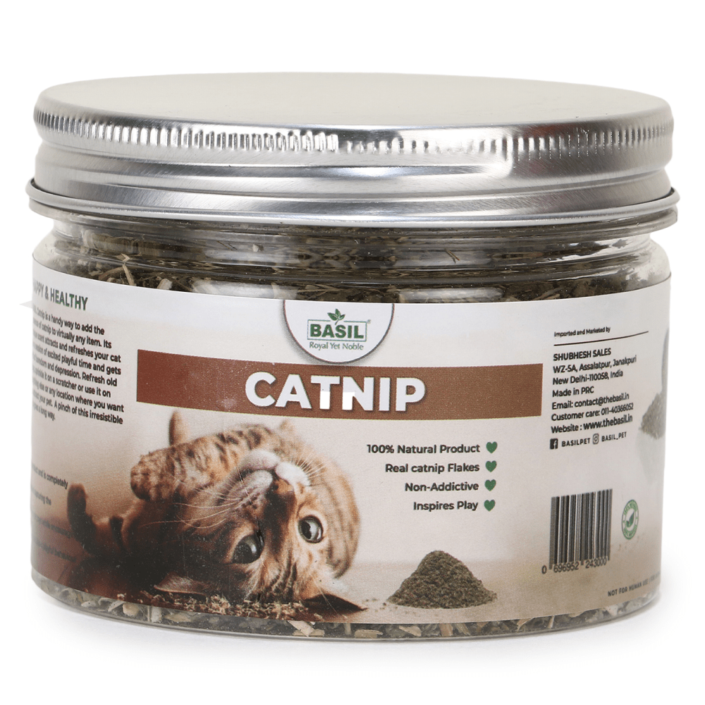 Basil Catnip in a Jar for Cats image 3