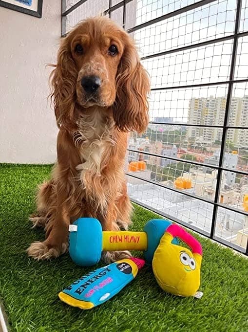 Goofy Tails Gym Series Kettlebell Plush Toy for Dogs | For Soft Chewers (Yellow) image 6