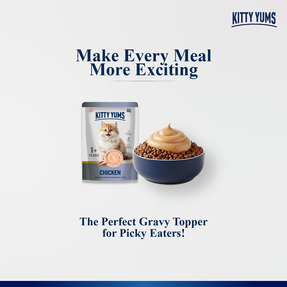 Kitty Yum Chicken Mousse Adult Cat Wet Food image 7
