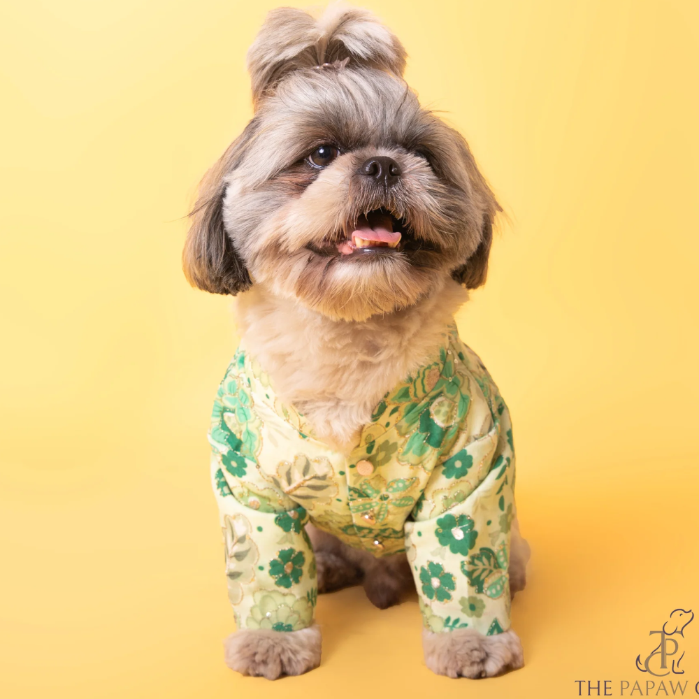The Papaw Cartel Floral with Zari Sherwani for Dogs (Green) image 3