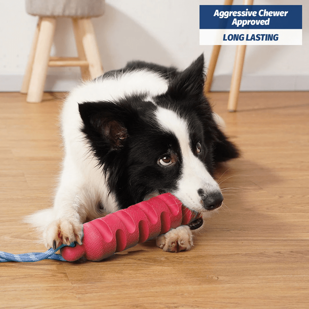Pawsindia Ultimate Chew Stick Toy for Dogs (Pink) image 5