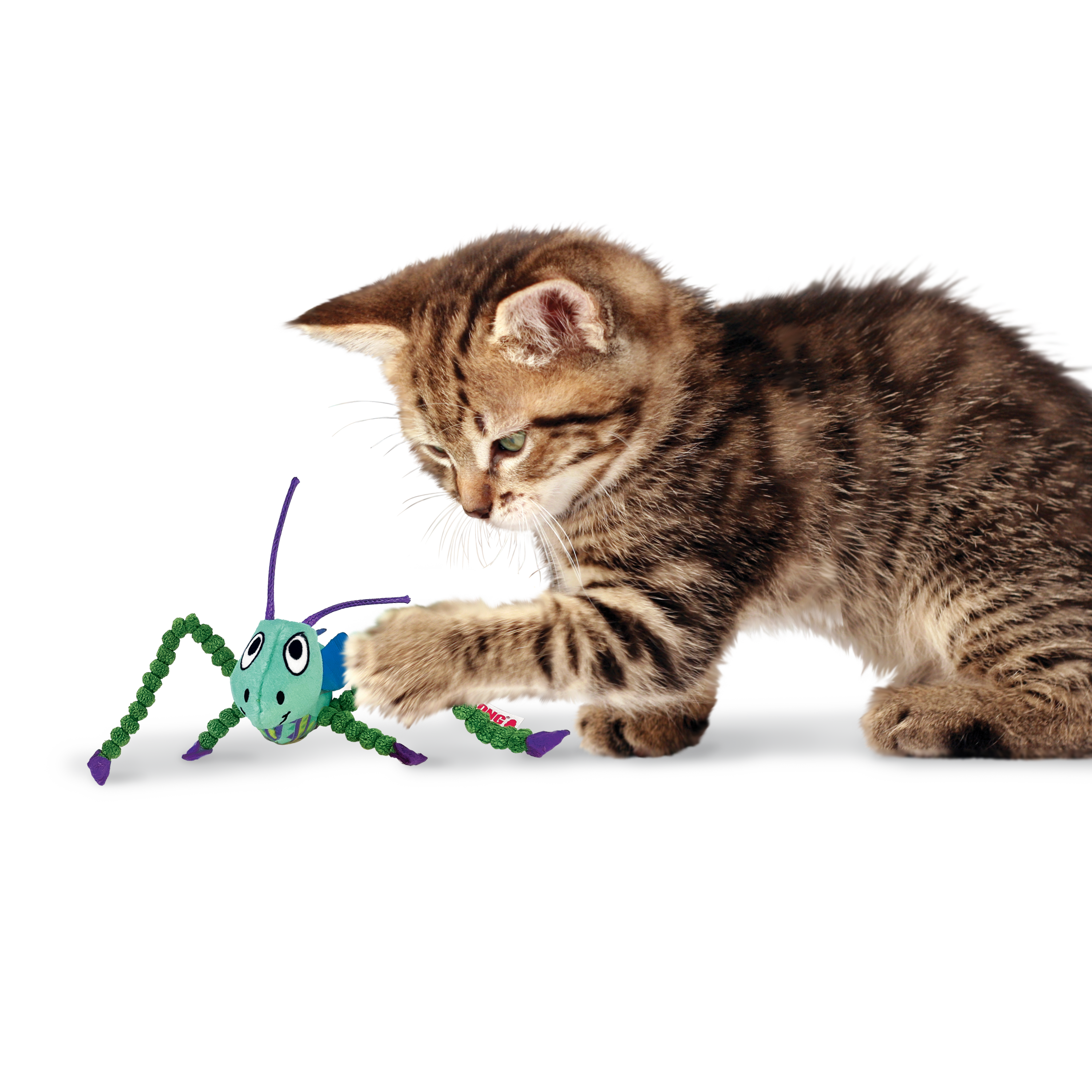 Kong Crackles Grasshopper Toy for Cats (Green) image 2