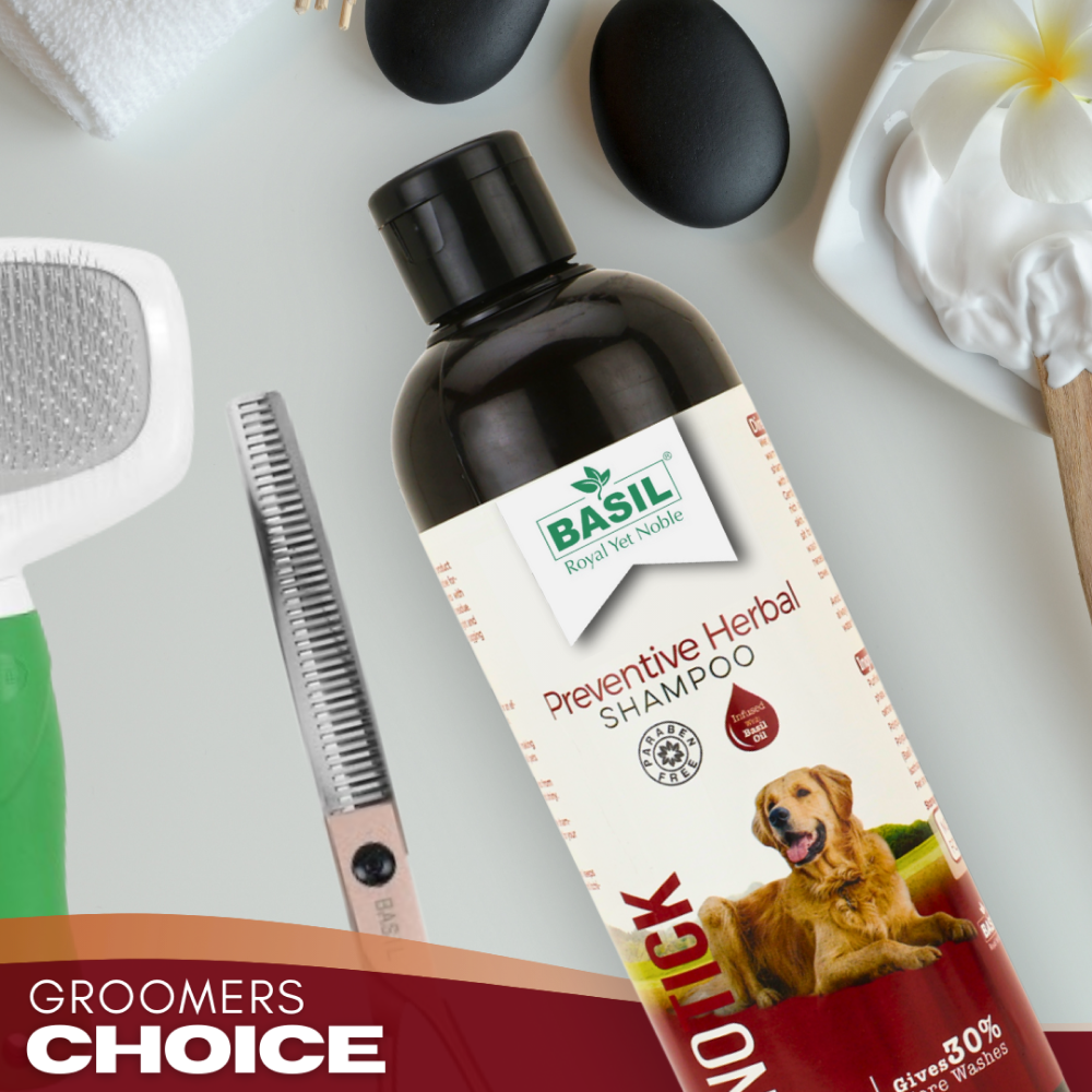 Basil Oat & Aloe Moisturising Shampoo for Dogs and Cats image 3