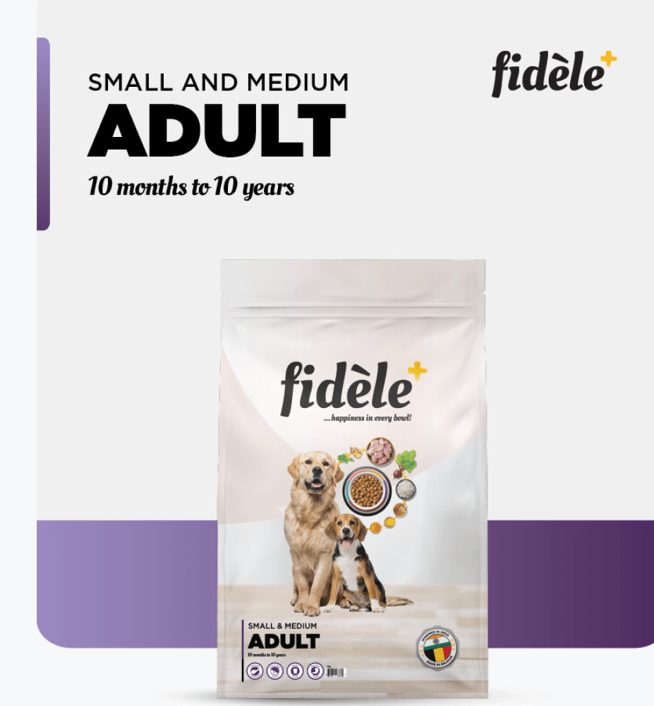 Fidele Plus Adult Small & Medium Dog Dry Food image 5