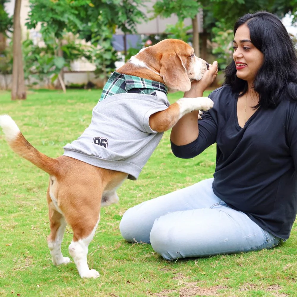 Pet Set Go Polo Knit Tshirt for Dogs (Grey) image 4