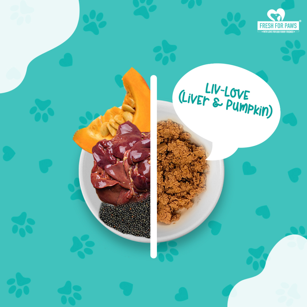 Fresh For Paws Chicken Liver & Pumpkin Liv Love Supplement for Dogs image 2