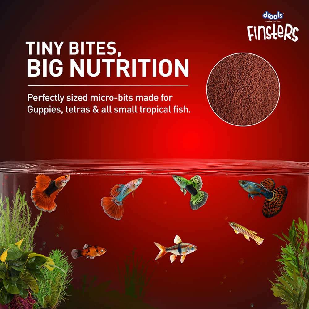 Drools Finsters Guppy Bits Fish Food image 5