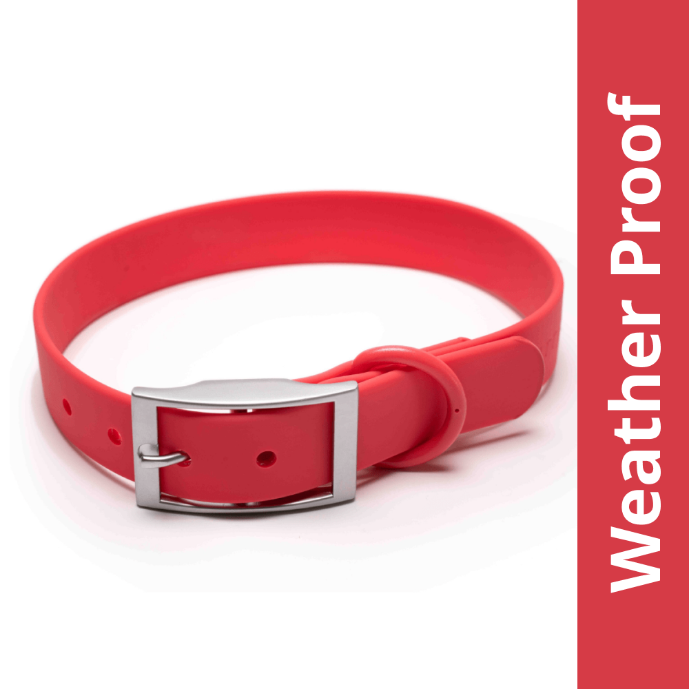 Furry & Co Weatherproof Collar for Dogs (Coral Red)