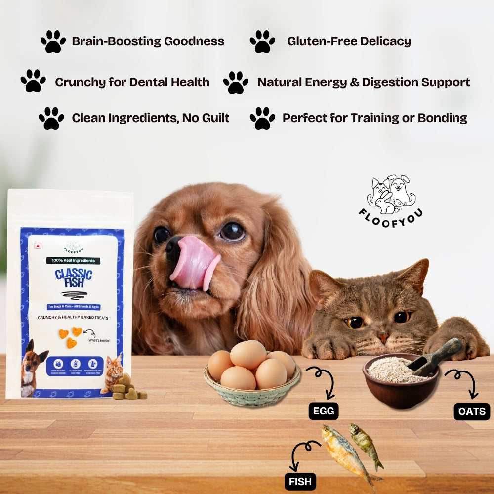 Floofyou Fish Oven Baked Cookie Dog and Cat Treats image 4