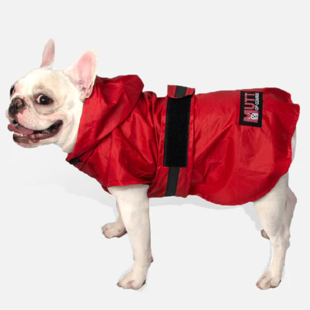 Mutt of Course Raincoat For Dogs (Red) image 4