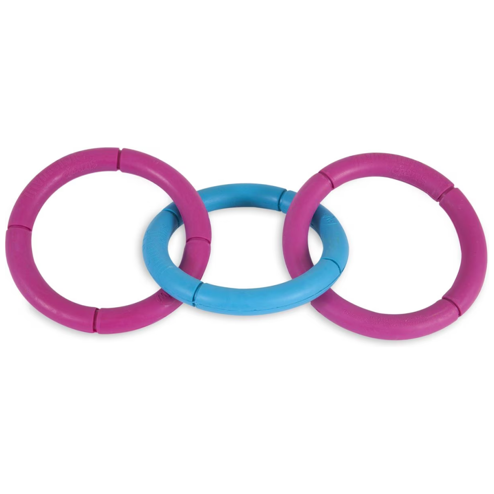 JW Invincible Chains Triple Toy for Dogs (Blue/Pink) image 2