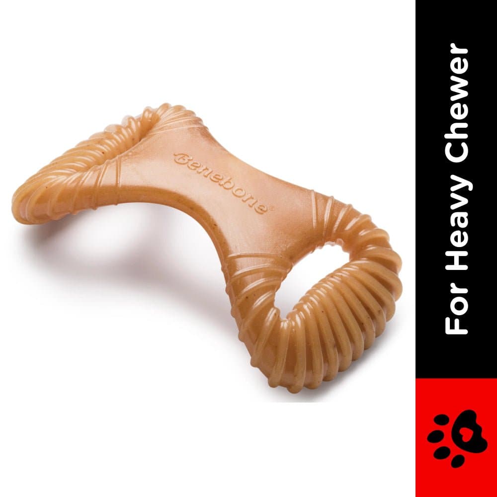 Benebone Chicken Flavored Dental Chew Toy for Dogs image 3