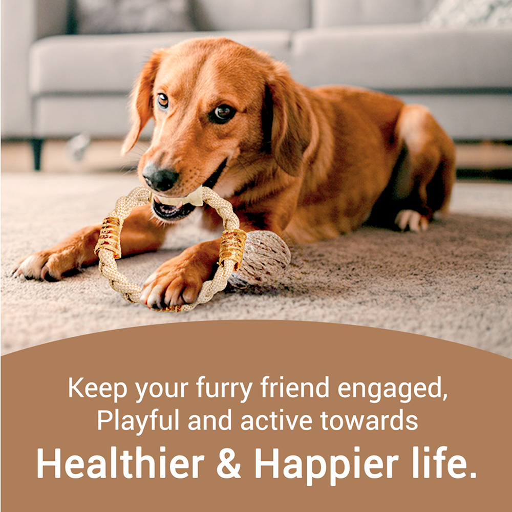 Bowlers Chewrope Donut Functional Dog Treat Toy image 6