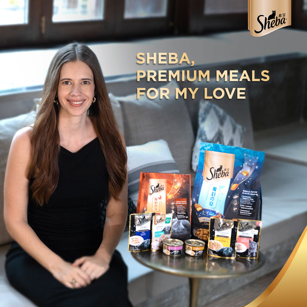 Sheba Chicken Loaf Rich Premium Kitten (2 to 12 Months) Fine Wet Food and Irresistible All Life Stage Cat Dry Food Combo image 9