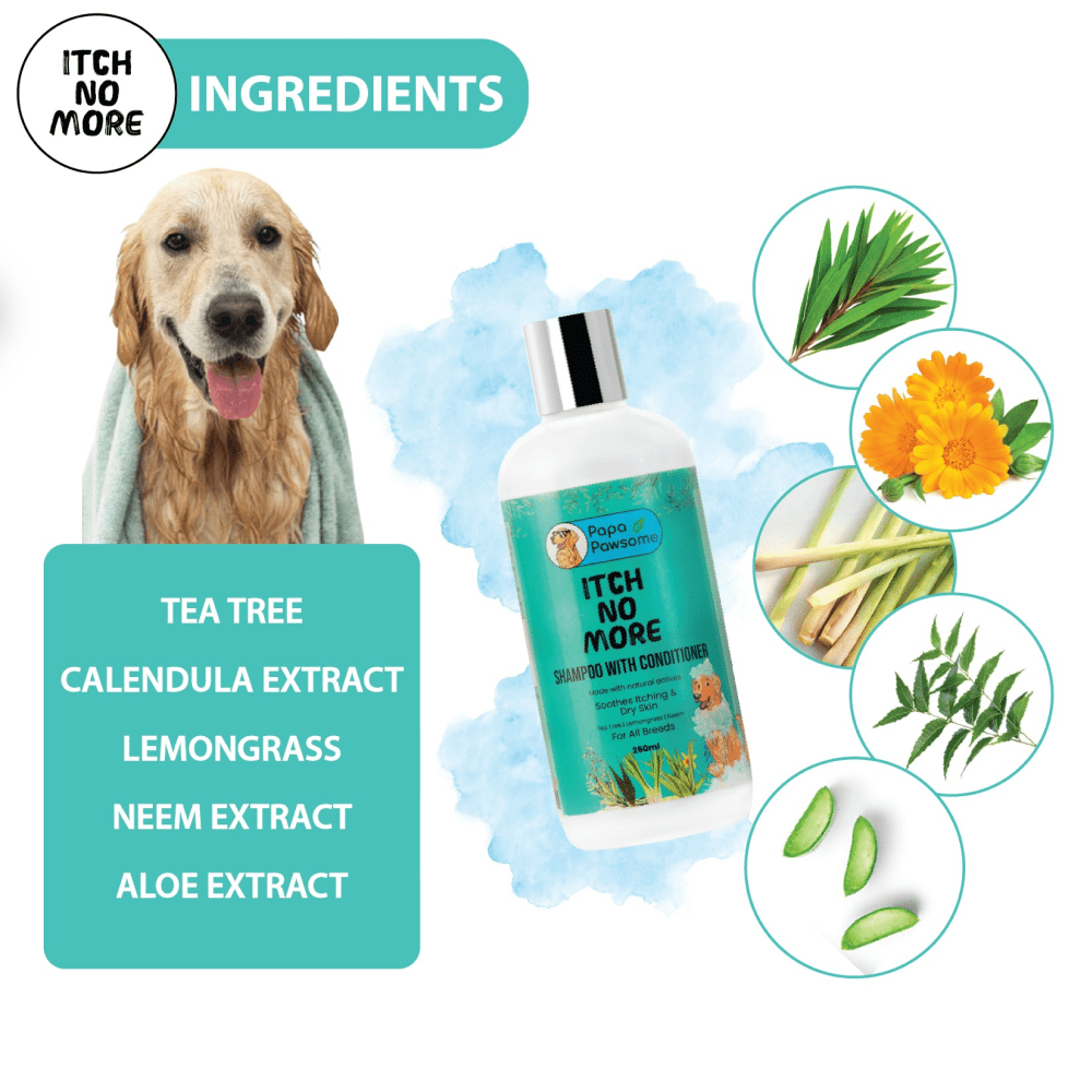 Papa Pawsome Itch No More Shampoo with Conditioner and Assorted Brush or Toy for Dogs image 6