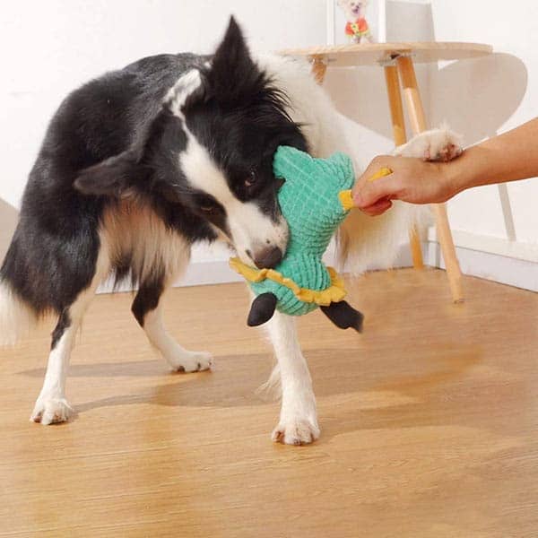 Pawsindia King the Cub Toy for Dogs image 5