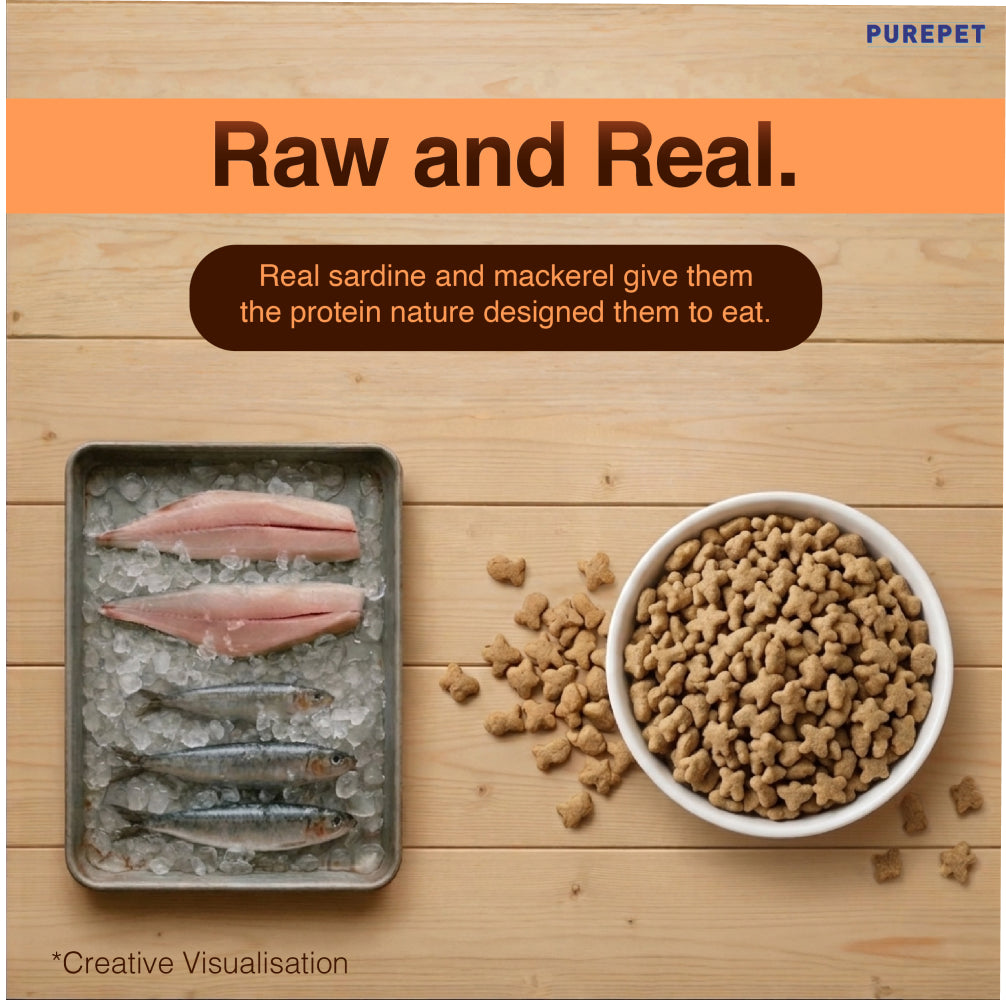 Purepet Mackerel Adult Cat Dry Food image 6