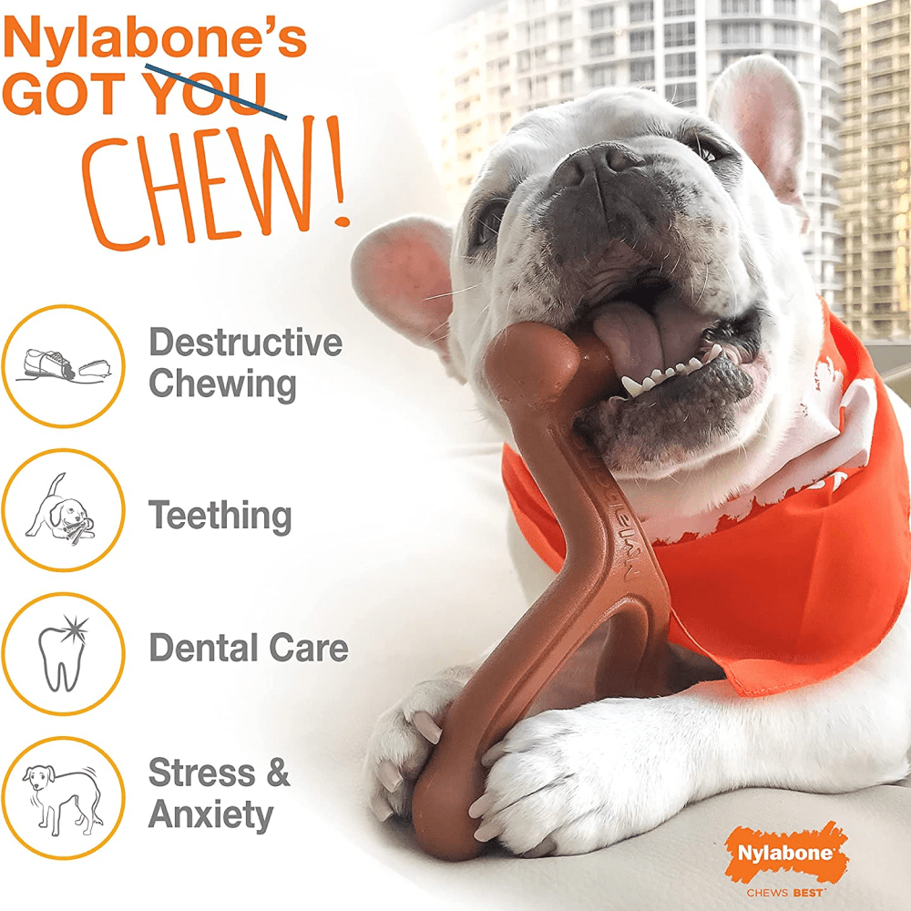 Nylabone Power Chew Flavor Frenzy Bone Twin Pack Toy for Dogs (Yellow, Brown) image 7