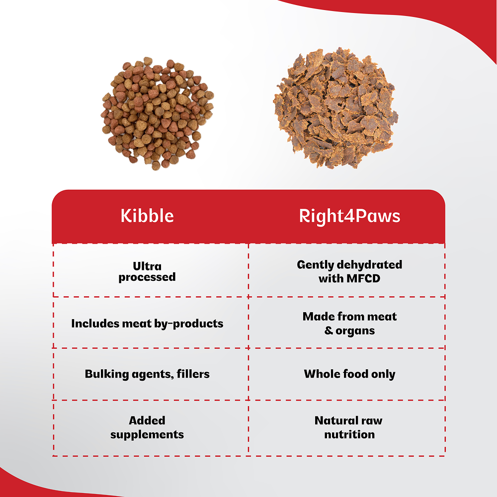 Right4Paws Ultimate Diet Energy+ Adult Dog Dry Food image 2