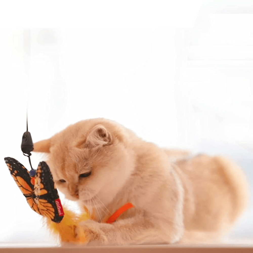 Gigwi FishYellow Butterfly with Flexible Rod Crinkle Paper Catnip and Bell Feather Teaser for Cats image 6